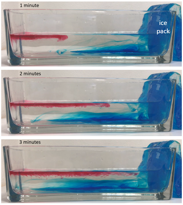 There are three images one on top which each display the red dye and blue dye movement in a glass container. Minute 1 is the top image. The red dye is at the top left of the water. The blue dye (ice pack)is at the left hand side of the container and is slowly flowing across the bottom of the container. 2 minutes is the tile of the middle image.The red dye has expanded across from the top left to the top middle of the container. The blue dye (ice pack) has expanded across the left and bottom middle of the glass container. The 3 minutes is the tile of the the bottom image. The blue dye is all the way across the bottom of the container and merges up towards the top of the water. The red dye has moved across the top of the water container and is touching the blue dye. The red dye is warm water. The blue dye is cold water.